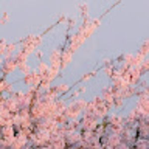 Meet your Posher, Maritsa